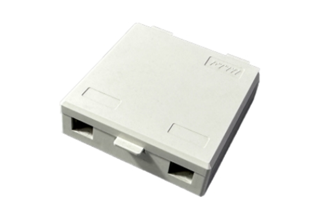 2 core Fiber Optic Desktop Box