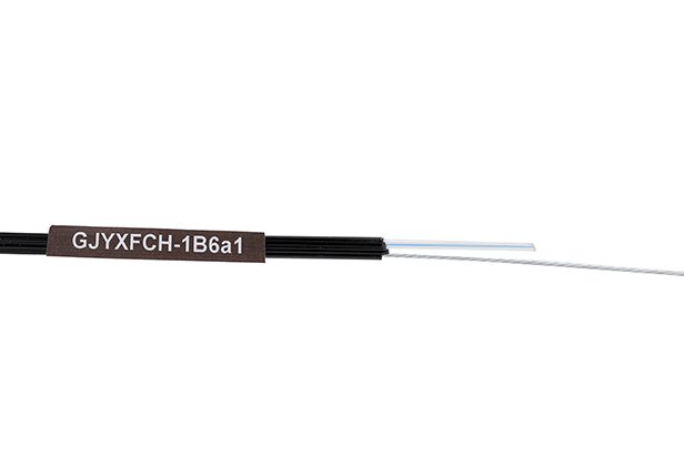 GJYXFCH-1B6a1