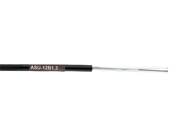 ASU-12B1 