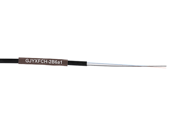 GJYXFCH-2B6a1