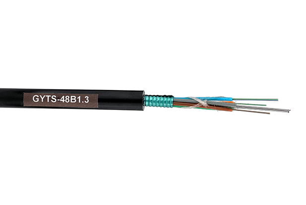 GYTS-48B1 