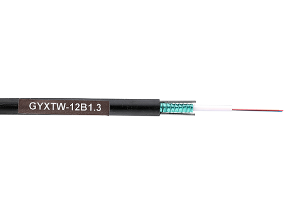 GYXTW-12B1 
