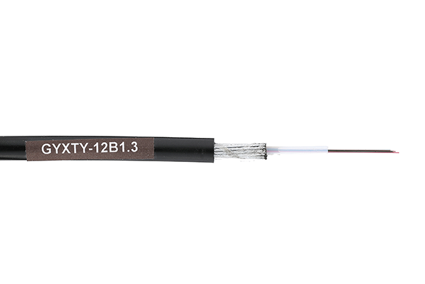 GYXTY-12B1 
