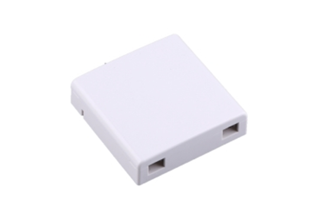 2 core Fiber Optic Desktop Box